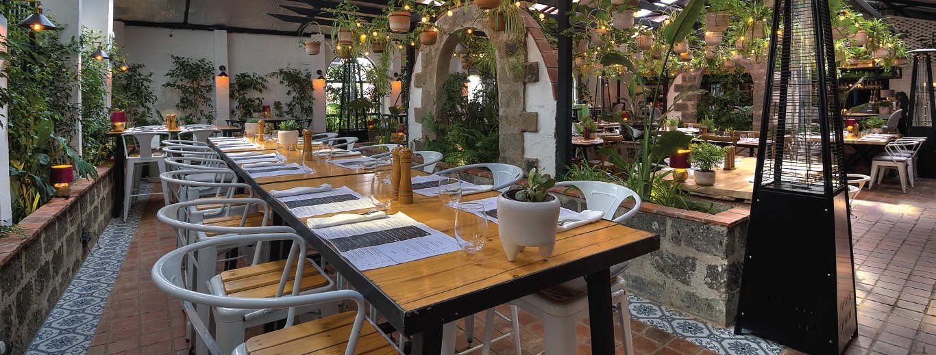 Cave à Manger's plant-filled garden dining room