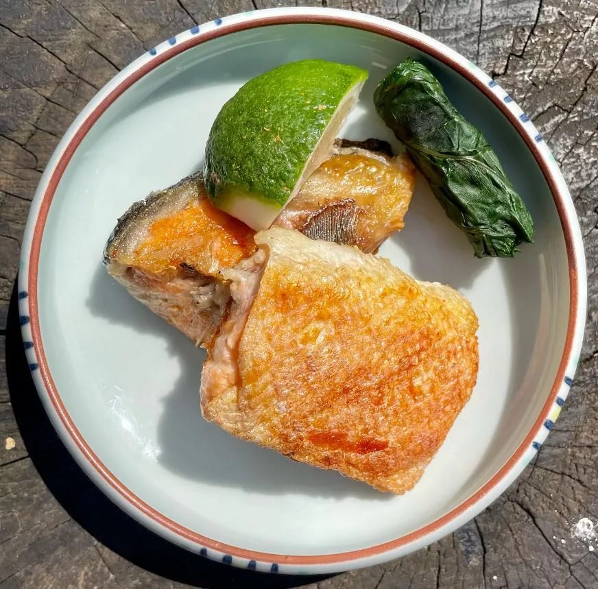 Chekafe grilled salmon belly and collar